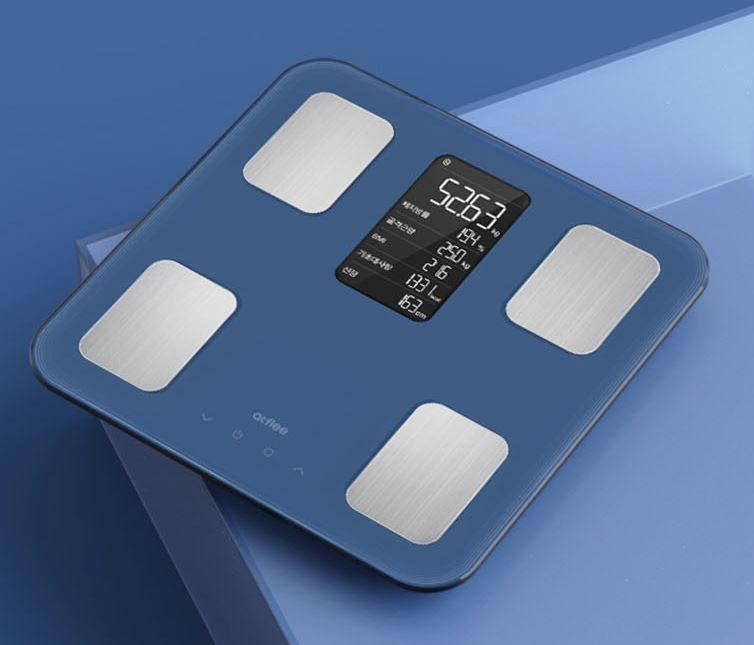 Cass home body fat scale