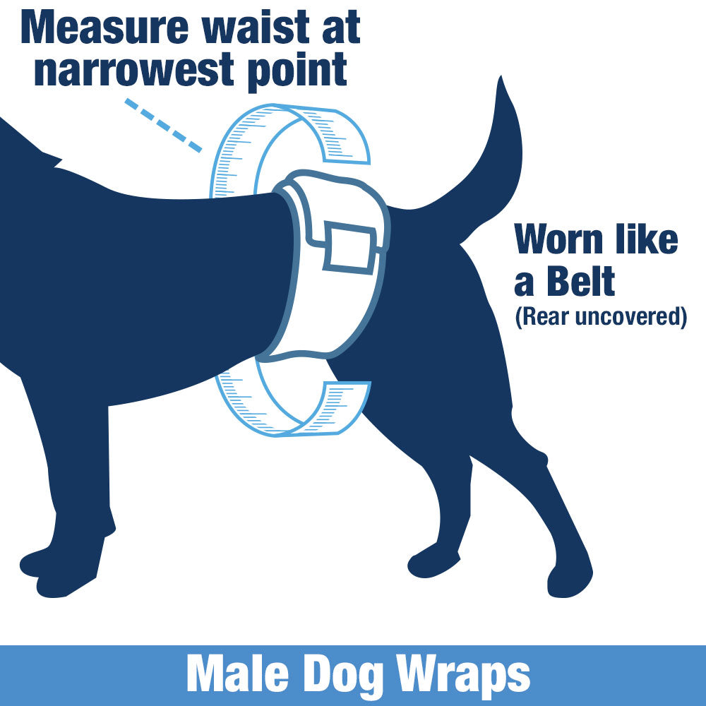 ValueWrap Male Wraps, Disposable Dog Diapers, 1-Tab X-Small, 288 Count BULK PACK - Snag-Free Fastener, Leak Protection, Wetness Indicator 